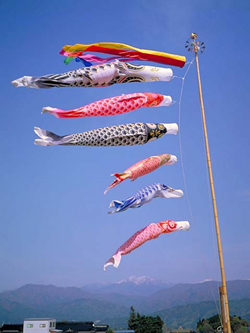 koinobori